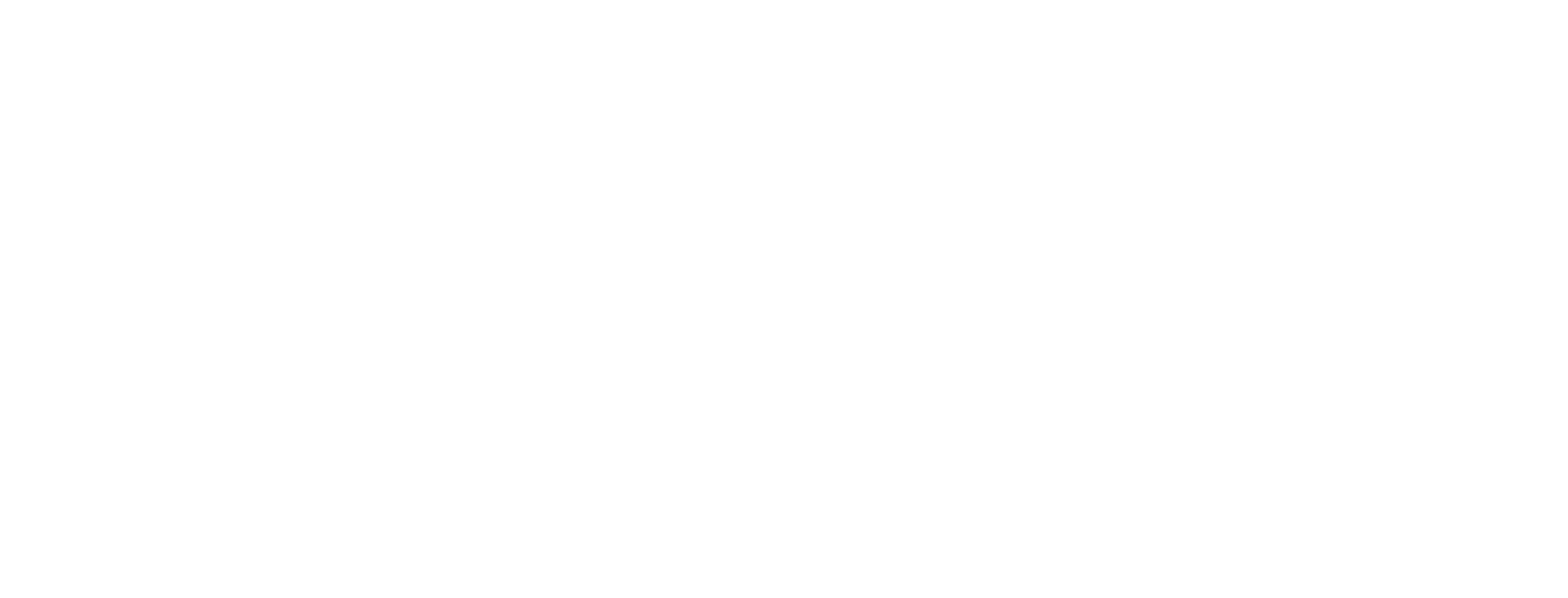 NEXRUN